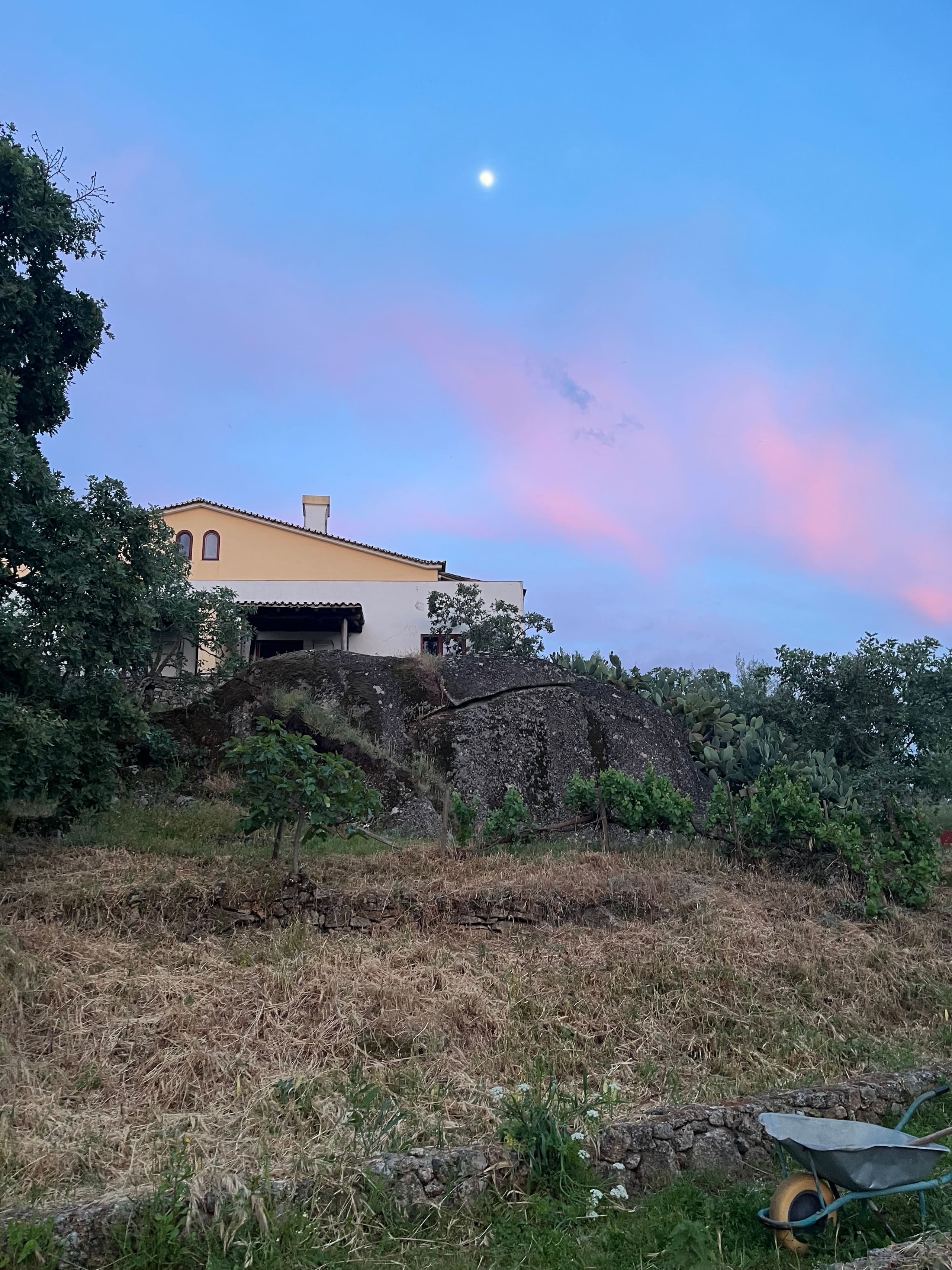 Landhaus hinter großem Felsen unter Abendhimmel mit Mond und rosa Wolken.