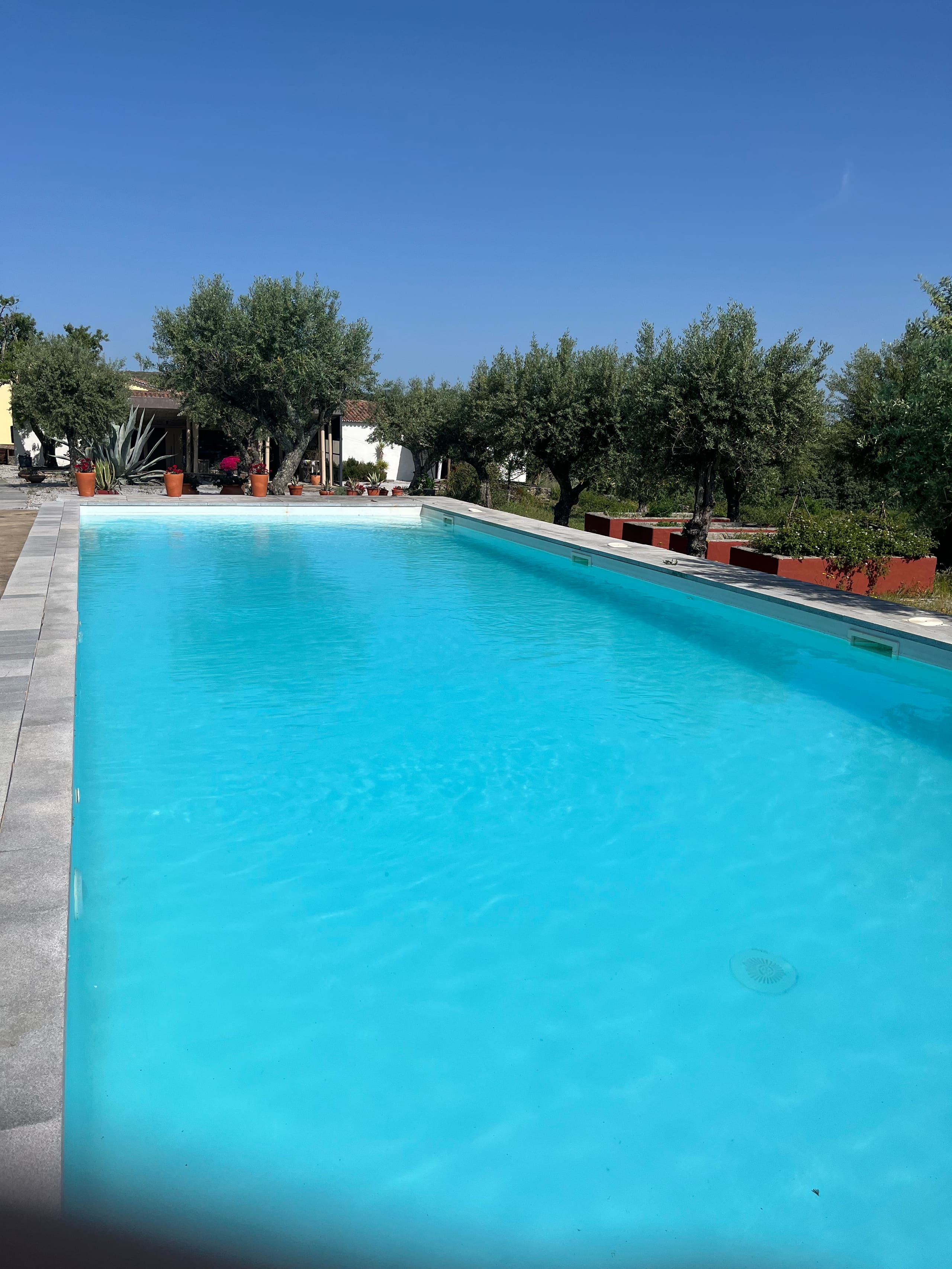 Türkisfarbener Pool umgeben von Olivenbäumen und Häusern unter blauem Himmel.